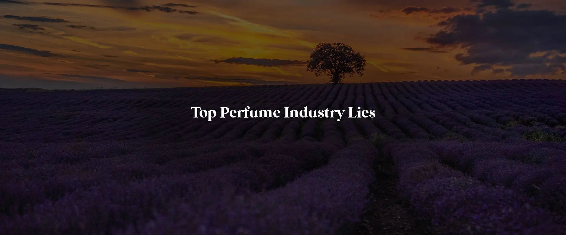 Perfume Industry Lies: 4 Biggest Lies Told By Perfumeries - RareScents